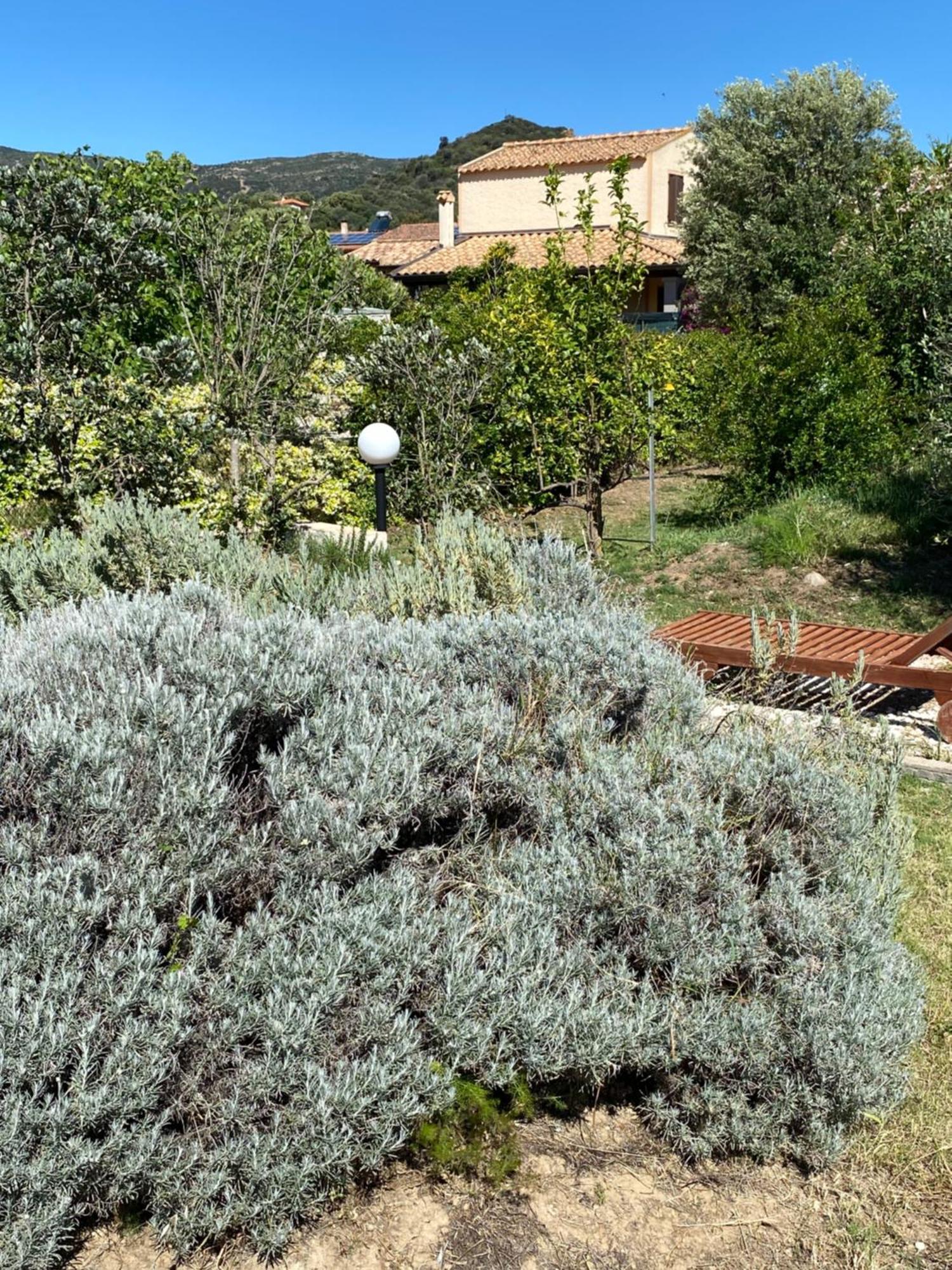 Lecallebed-Breakfast Chia Exterior photo